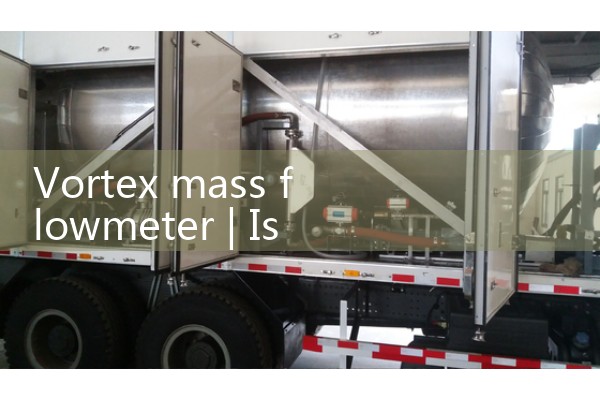 Vortex mass flowmeter